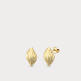 Oyster Earrings in 14K Solid Gold