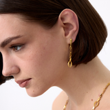 Oval Dangle Vermeil Kadın Küpe